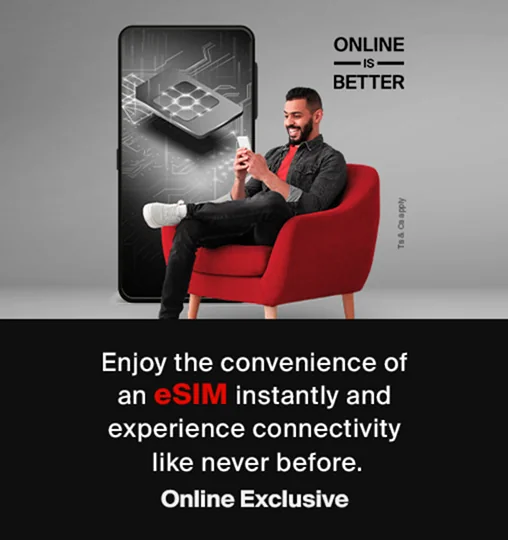 wasel-sim-nwt-inr-v3-en-508x540